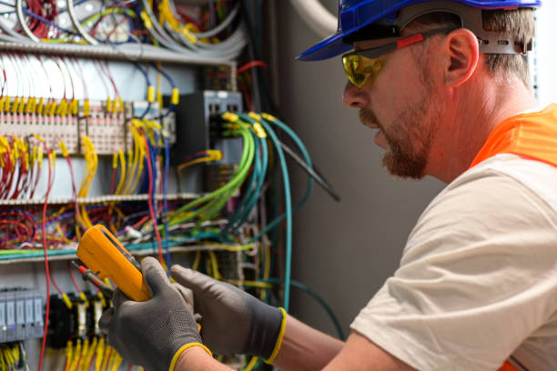 Best Electric Panel Repair  in Dallas Center, IA